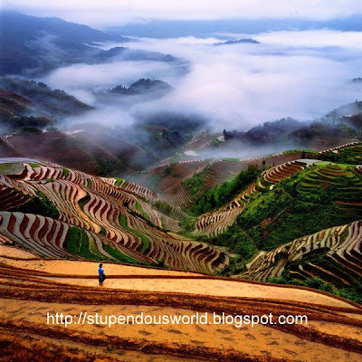 Amazing Scenery Picture