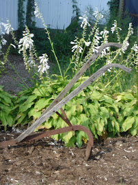 Hosta Garden