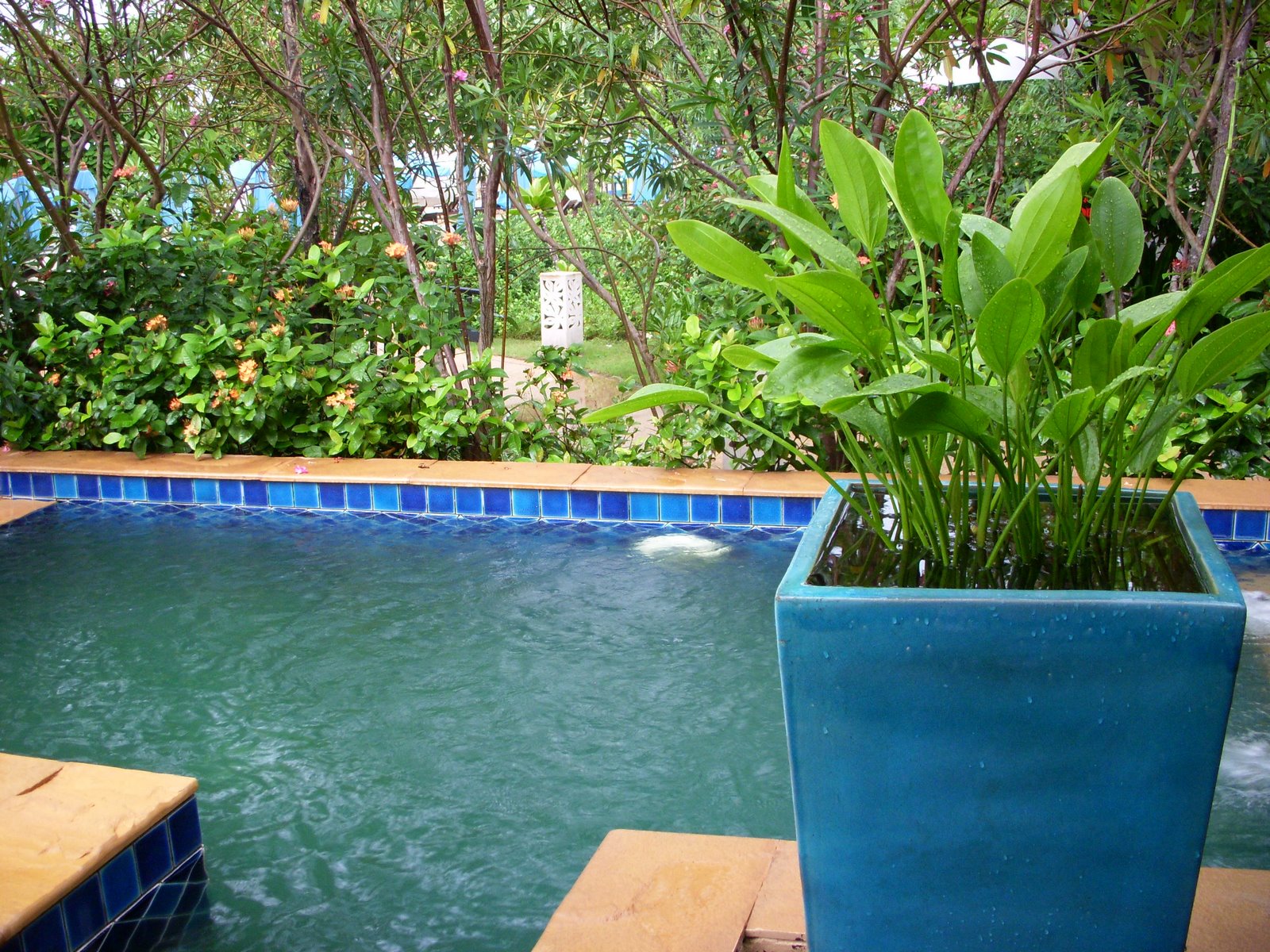 [DSCN1495.JPG]