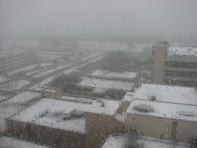 [IMG_3263.JPG]