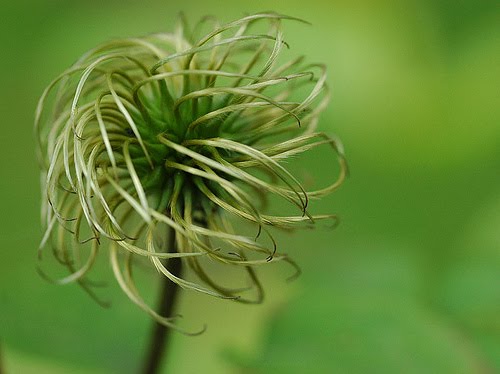 [449833960_b4416cc4b7.jpg]