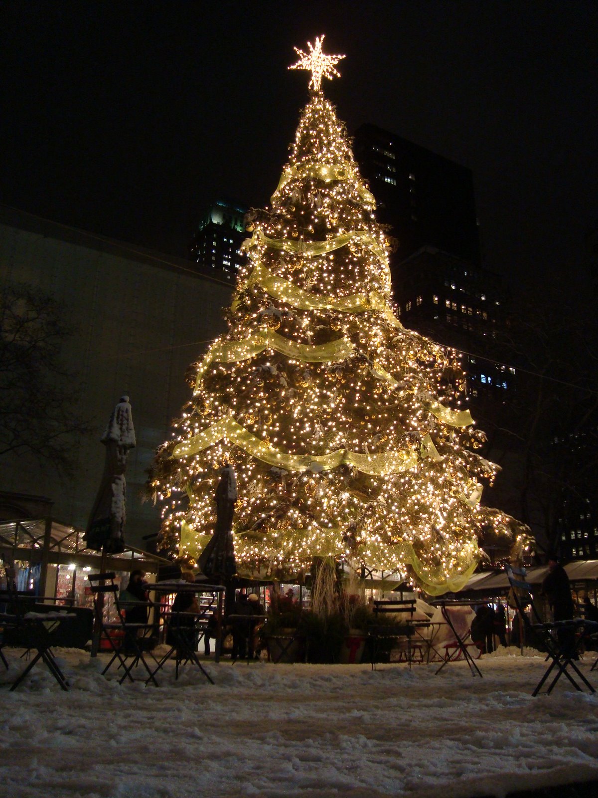 [DSC08189.JPG]