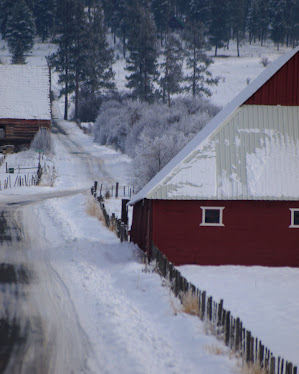 The Road Home