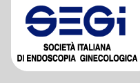 Link al sito della SEGi: clickare sul logo