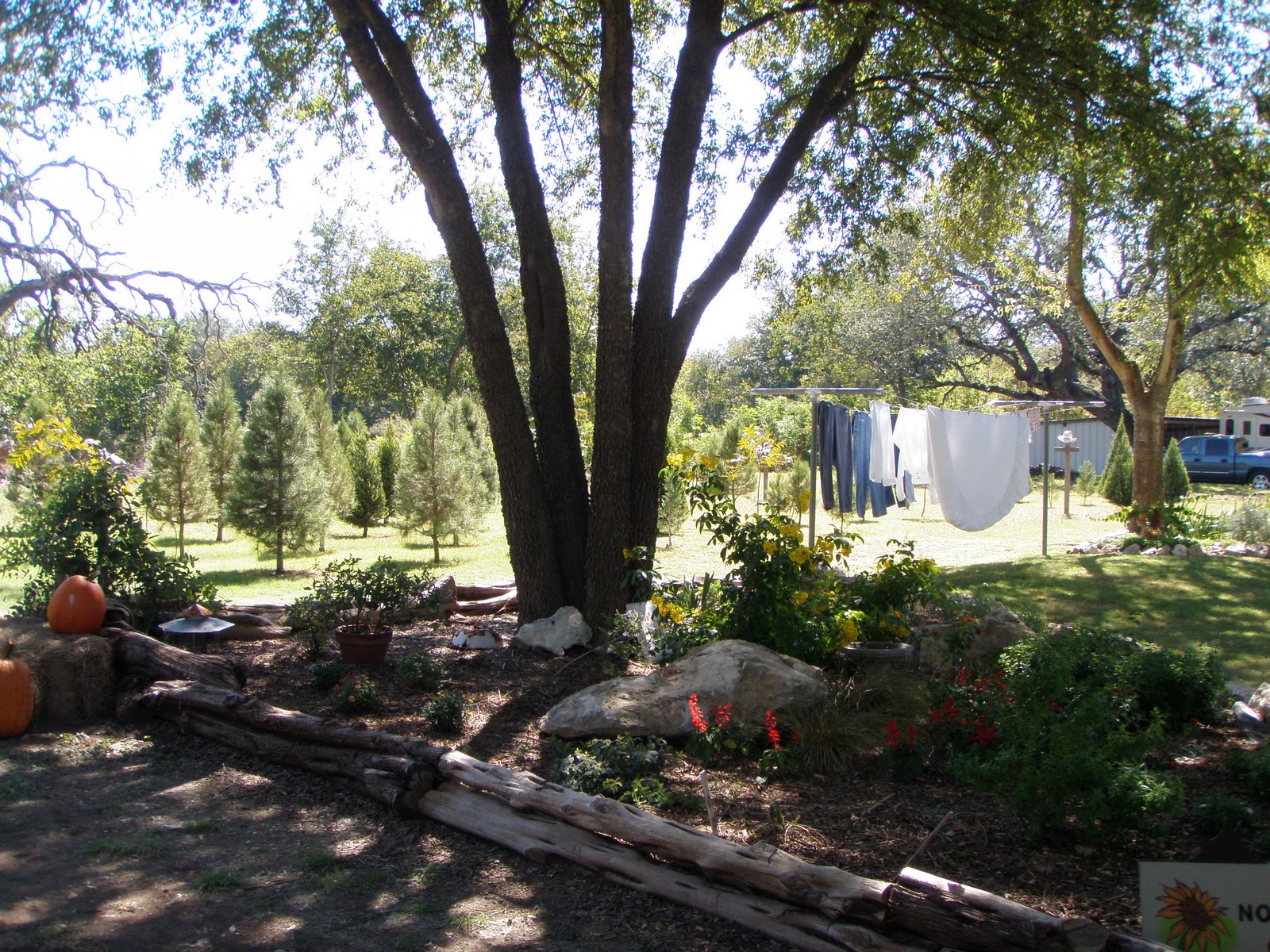 From The Fox's Den Silo Christmas Tree Farm and Pumpkin Patch