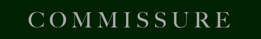 Commissure