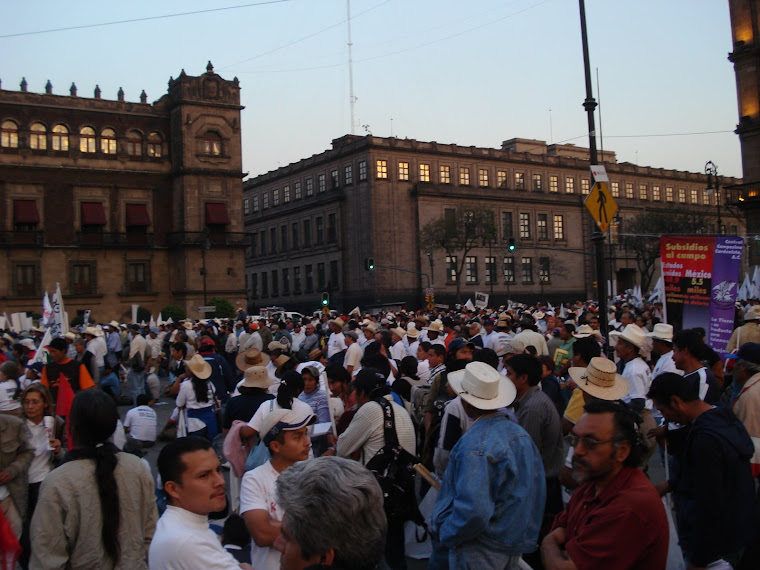 Tomaron el zócalo