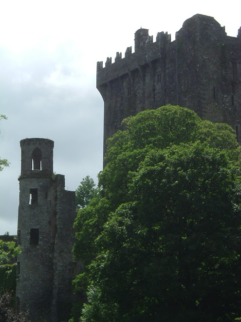 Blarney Caste - Co.Cork (Ireland)