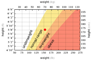 Human Weight Chart