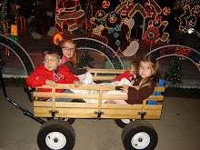 HOLIDAYS 2008