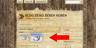 screenshot hover CSS3