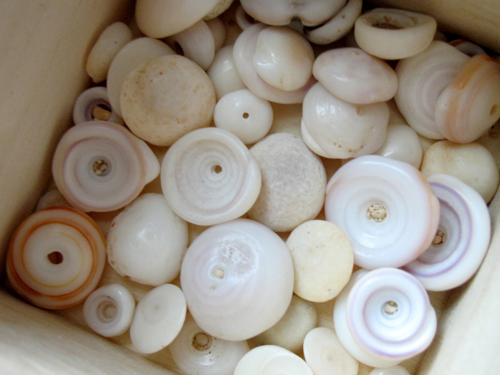 These are Puka shells. They are remnants of a cone shell. I was so