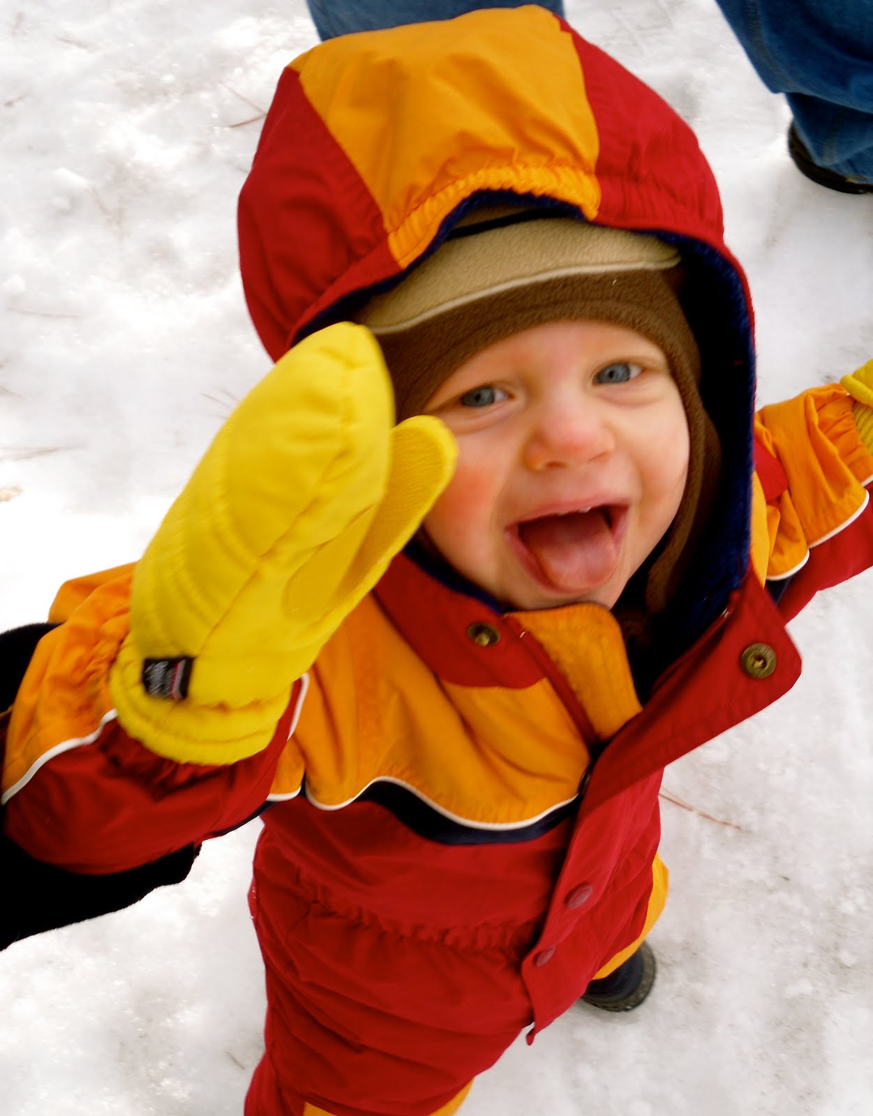[SDC13054_2.JPG]
