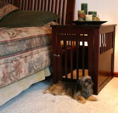 SOLID WOOD PET CRATE & END TABLE COMBO