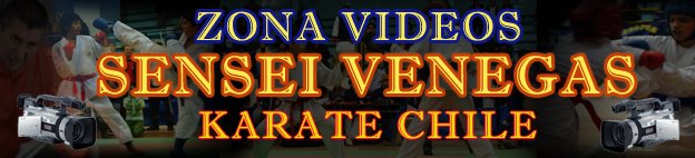 VIDEOS KARATECHILE  SVENEGAS
