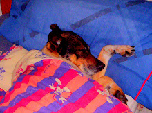 Teti