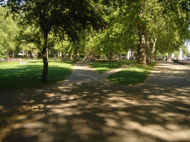 [DSC03958.JPG]