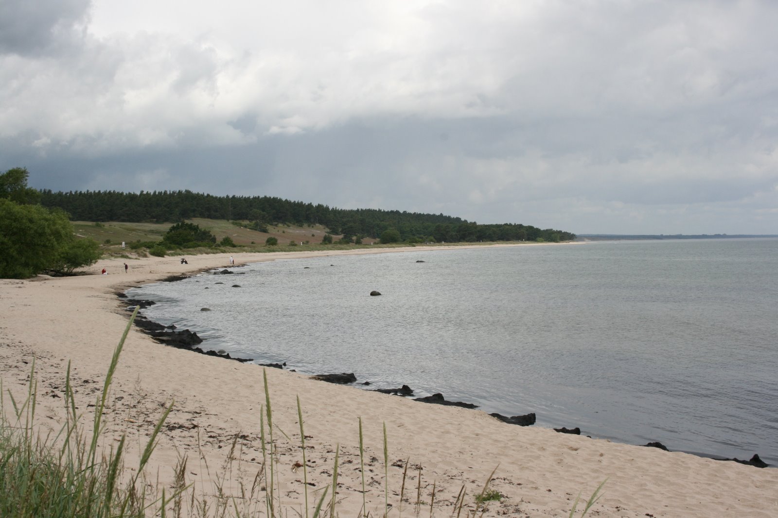 [IMG_1680.jpg]