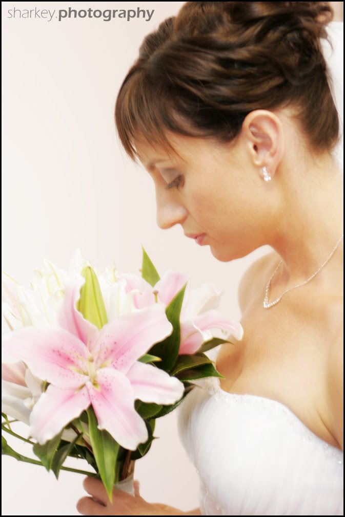 [Blog_7592.jpg]