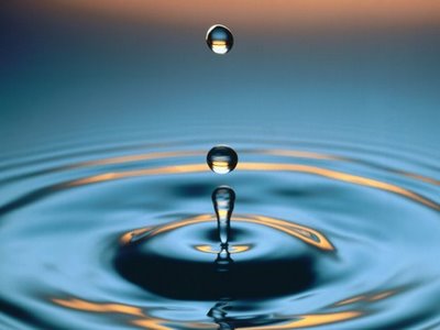 Gota Gota
