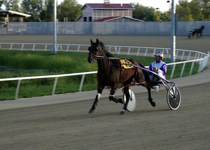 Wire Harness Racing
