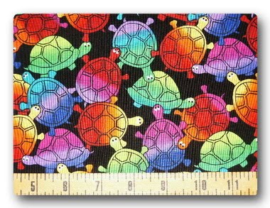 [rainbowturtlesss.jpg]