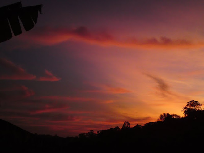 "Volta teu rosto sempre na direção do Sol,  e então, as sombras ficarão para trás."