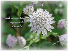 En fin uppmuntran från "Mitt liv i Fare"!