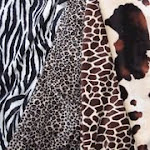 Go Wild With Our Animal Prints!