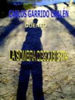[LASOMBRADESCUBIERTA.jpg]