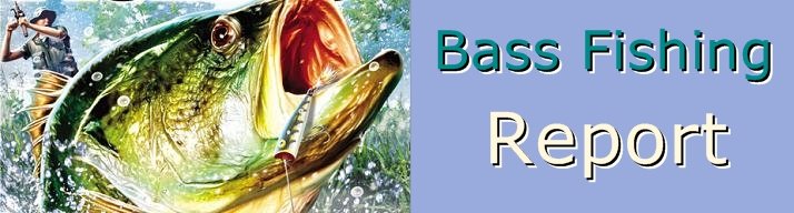 Bass Fishing Report
