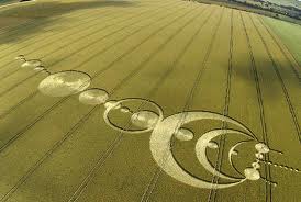 crop circle crop circle