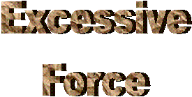 Civil Rights, Excessive Force, Extreme Brutality, Florida Attorney, Florida Lawyer, Police Misconduct, Tampa Attorney, Tasers, Wrongful Death