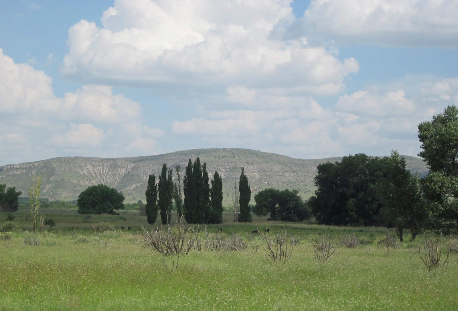 The Zees Go West August 2010