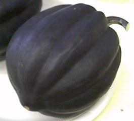 Quick Acorn Squash with
