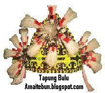 Tapung Bulu