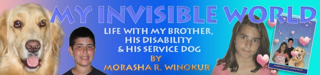 My Invisible World