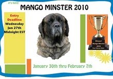 official contestants of mango minster 2010