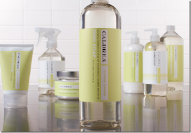 Hailey S Helpful Hints Target Addict Caldrea