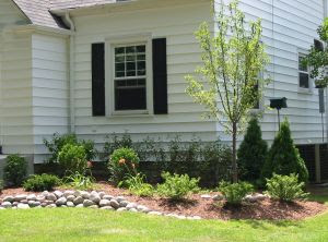 Critical Landscaping Ideas