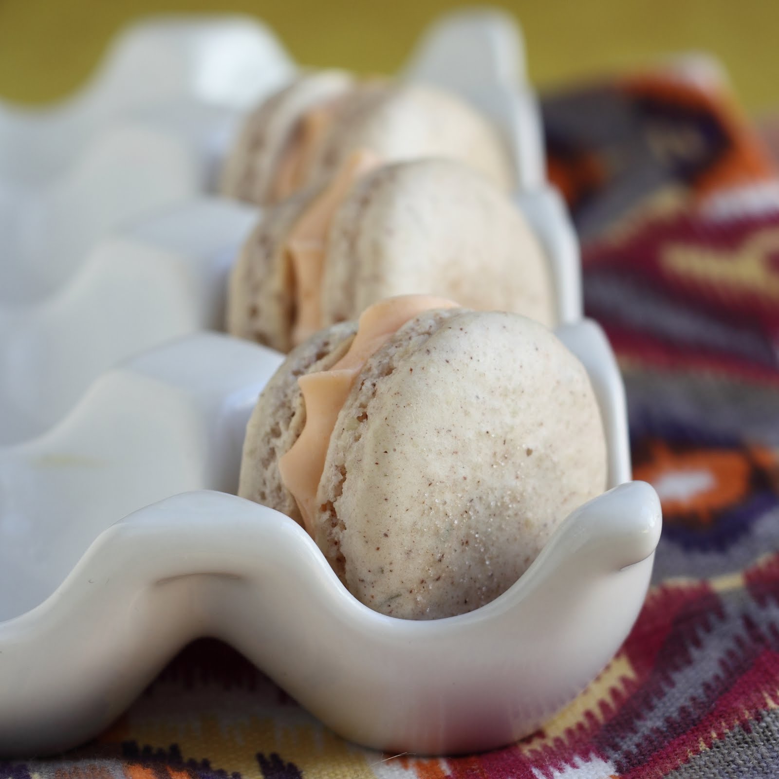 Macromedia Flash Mx 2004 Free Download Torrent