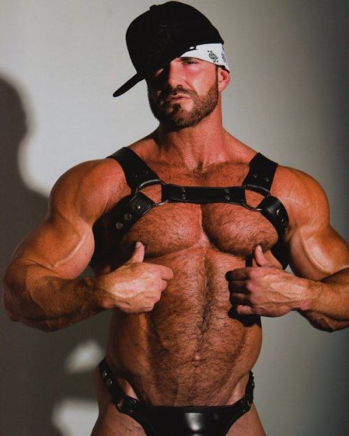 muscle+bear+Bo+Dixon+1.jpg