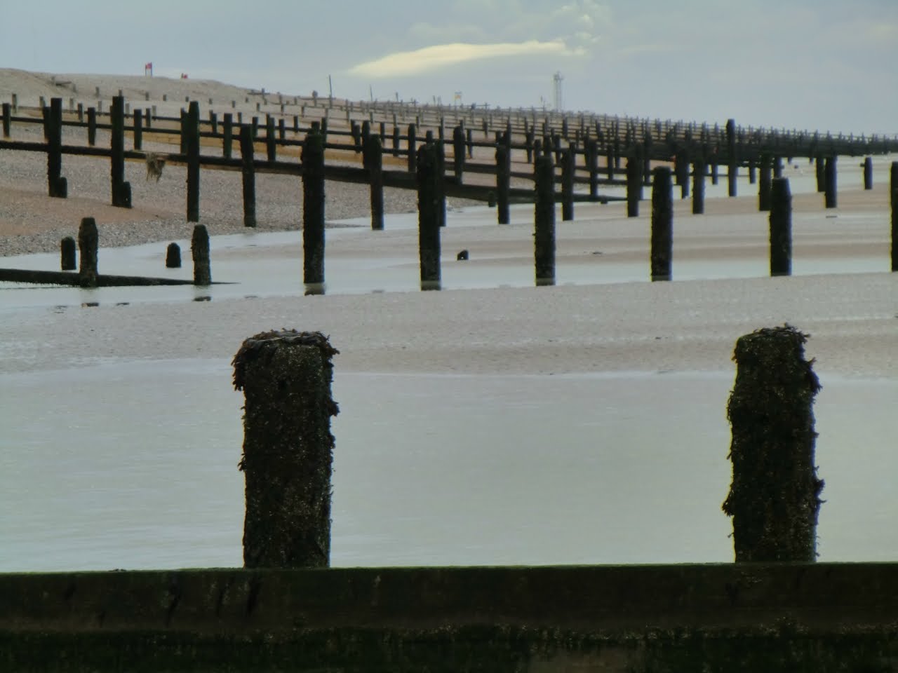 Teaching Is Sweet End Of Year Portfolios And Some Other Stuff