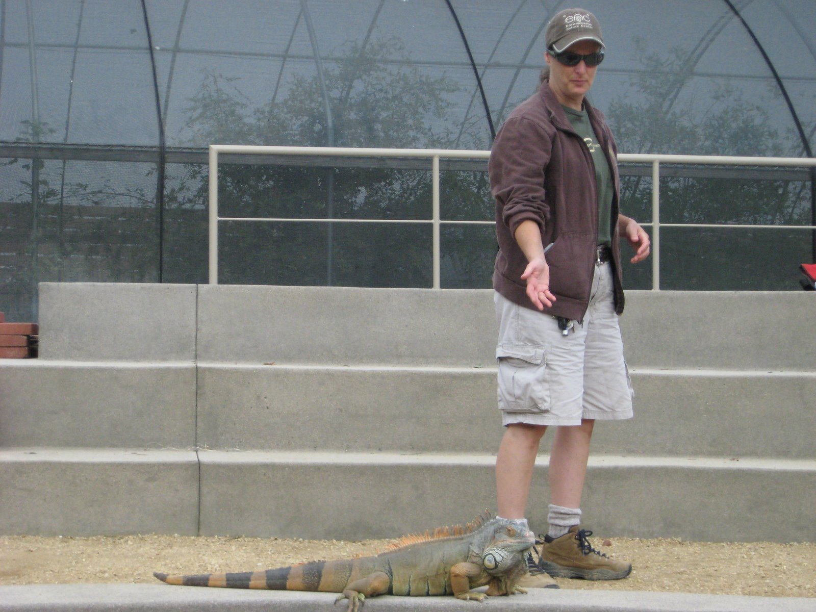 [Meet+a+Dinosaur.JPG]