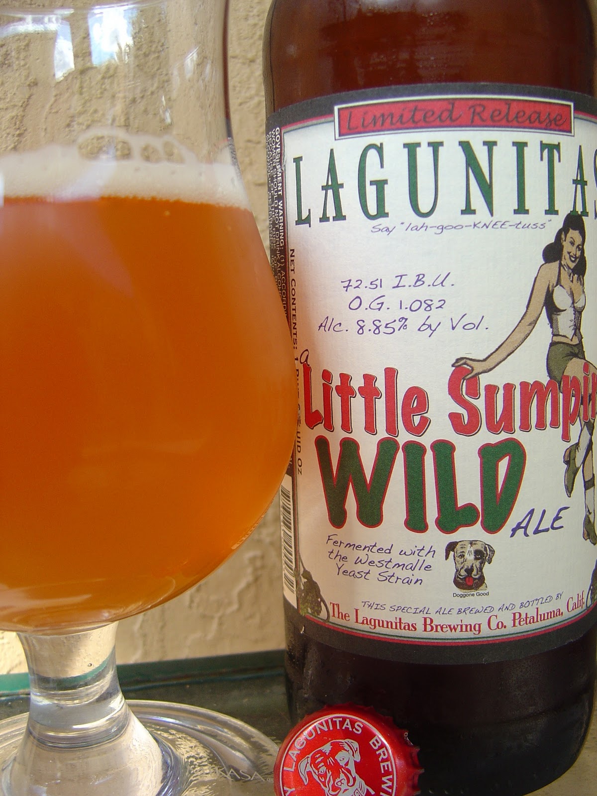 Daily Beer Review A Little Sumpin' Wild Ale