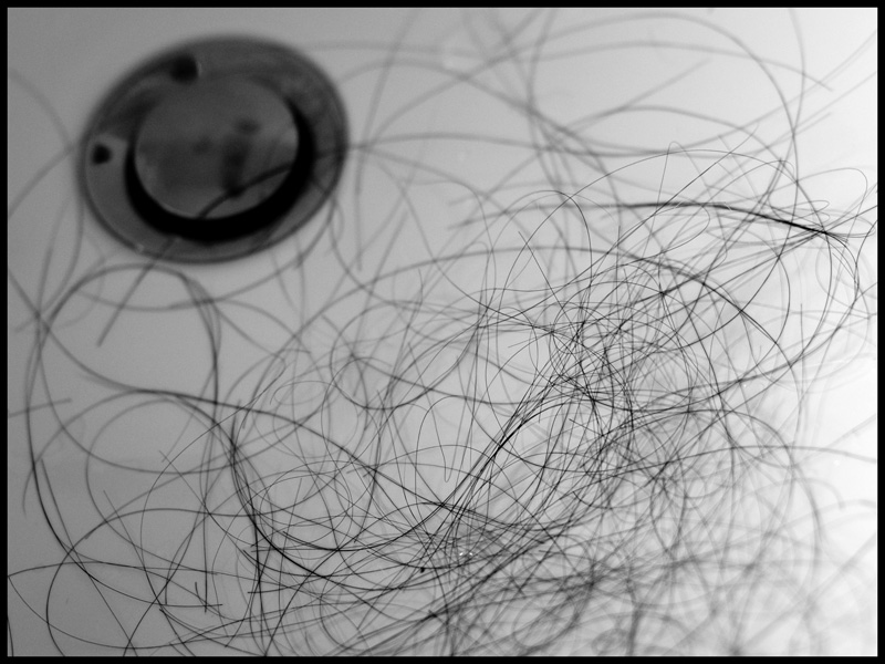 A Hair Pics Hair With White Bulb