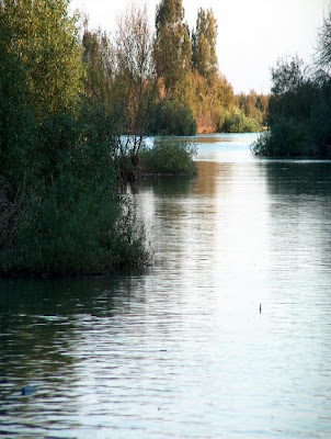 El biblíco río Jordán esta agonizando Rio+jordan