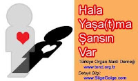 YENİ YAŞAMLAR İÇİN