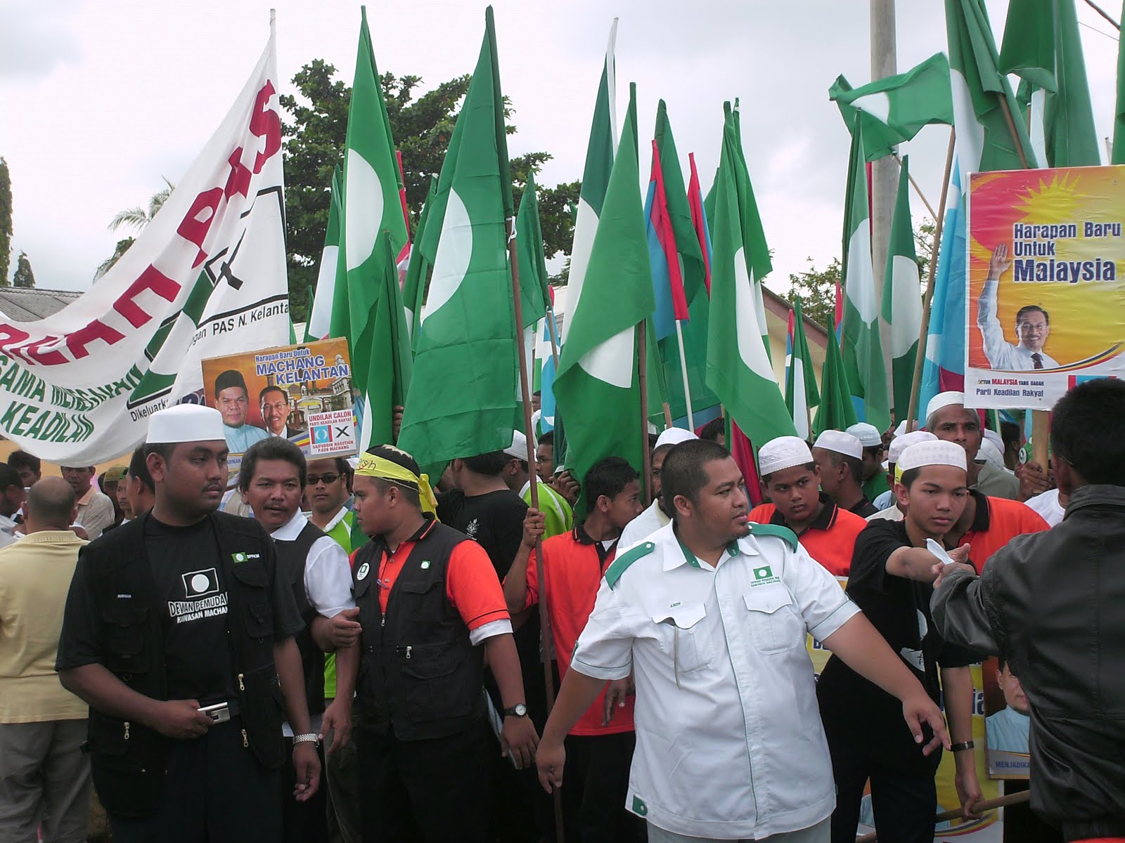 [PICT0082.JPG]