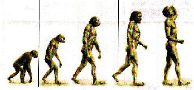 [evolution.GIF]